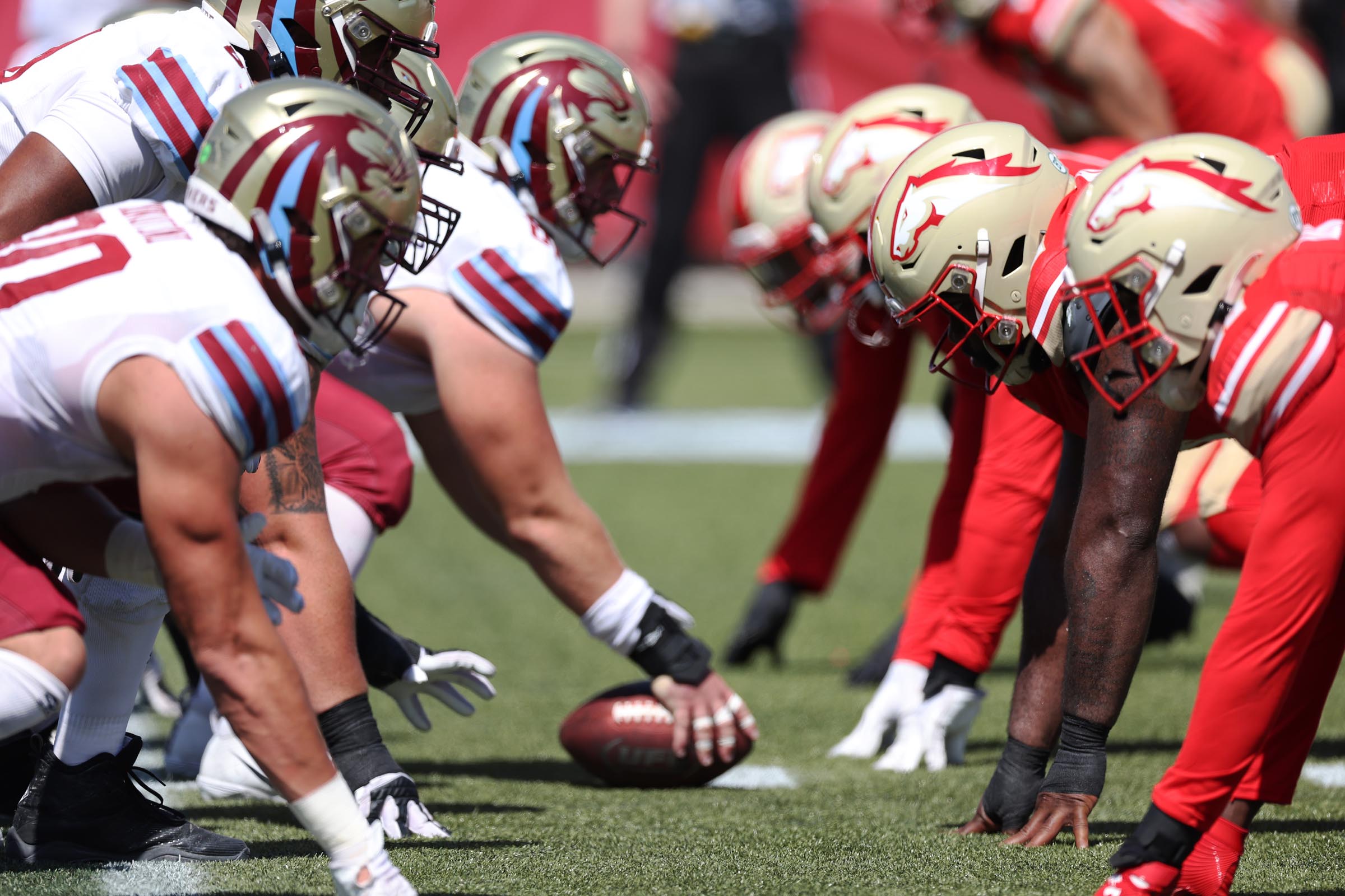 Game Summary: USFL Conference Championship, Michigan Panthers at Birmingham  Stallions, Saturday June 8, 2024 - UFLBoard.com